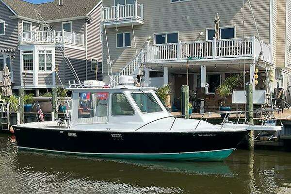 Picture Of: 1986 Blackfin 27 Combi CHEETAH