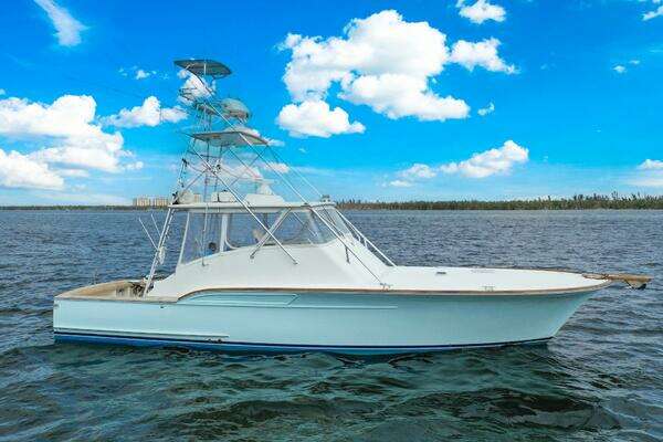 Picture Of: 2006 Buddy Davis 48 Express Pale Horse