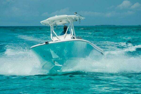 Picture Of: 2025 Edgewater 245CC 