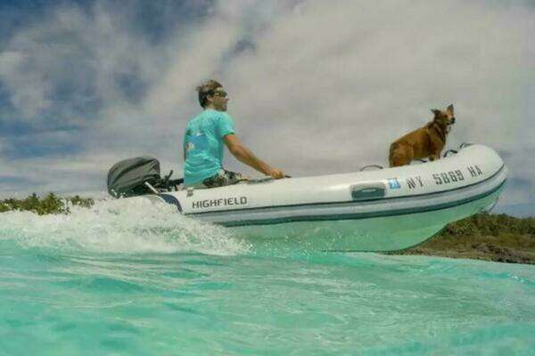 Picture Of: 2026 Highfield Classic 310 