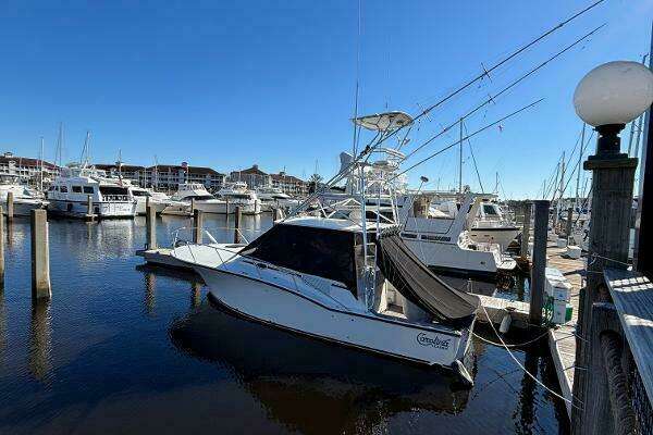 Picture Of: 2001 Carolina Classic 35 Reel Deal