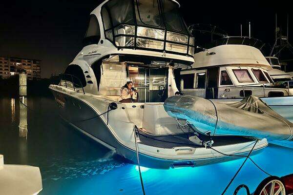 Picture Of: 2005 Sea Ray 500 Sedan Bridge 