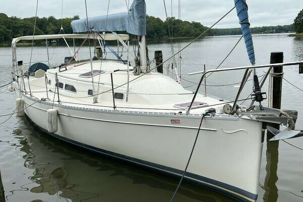 Picture Of: 2006 Shannon  