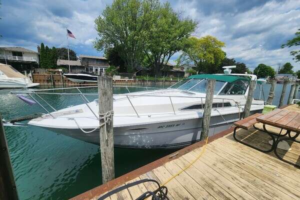 Picture Of: 1987 Sea Ray  