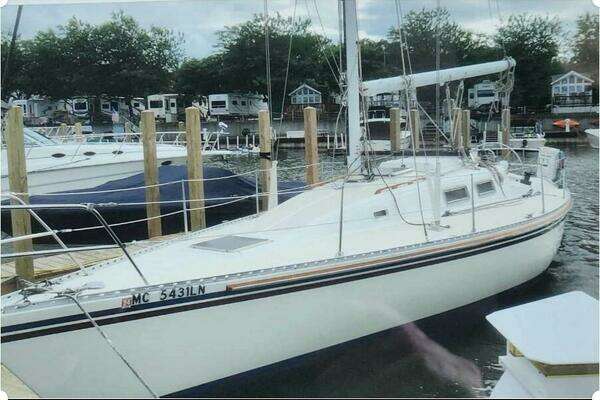 Picture Of: 1983 Morgan Nelson Marek 