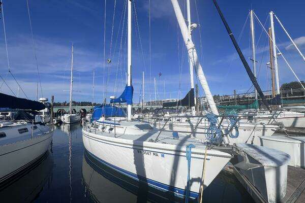 Picture Of: 1989 Catalina  Saving Grace