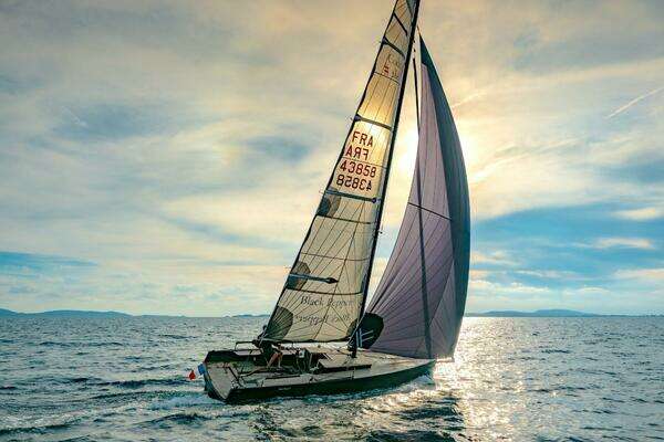 Picture Of: 2025 Black Pepper Code# 