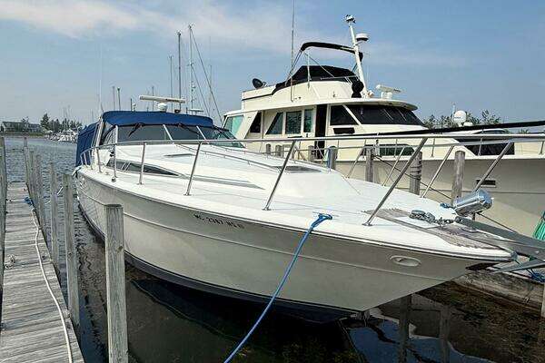 Picture Of: 1989 Sea Ray 460 Express Cruiser 