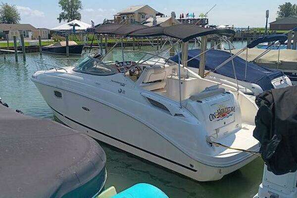 Picture Of: 2010 Sea Ray 260 Sundancer 
