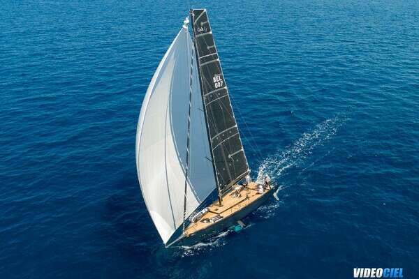 Picture Of: 2026 Black Pepper Code 1 