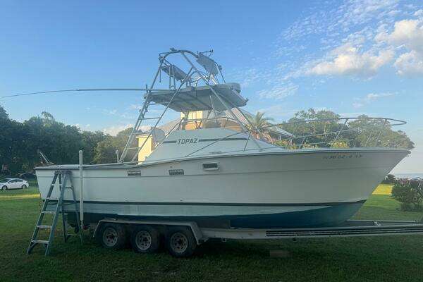 Picture Of: 1980 Topaz Express Rip Runner II