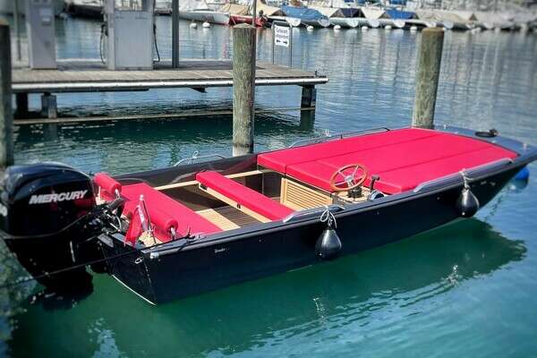 Picture Of: 2026 Black Pepper Tender 17 