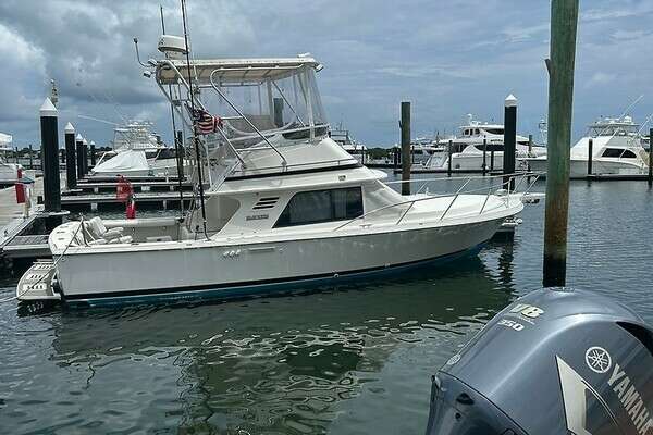 Picture Of: 1994 Blackfin Sportfish Sea Dog
