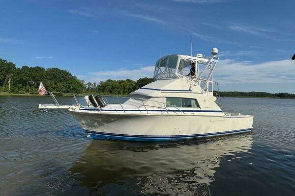 Picture Of: 1987 Bertram 33 Sport Fisherman Vesper