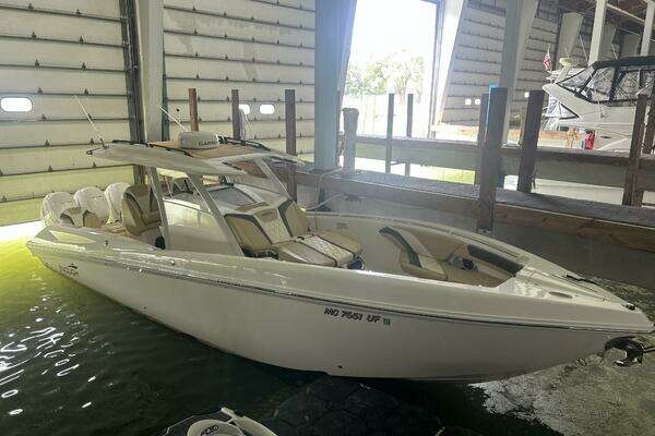 Picture Of: 2019 Sunsation  