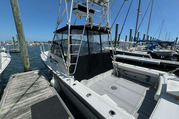 Picture Of: 1988 Rampage  Half Moon