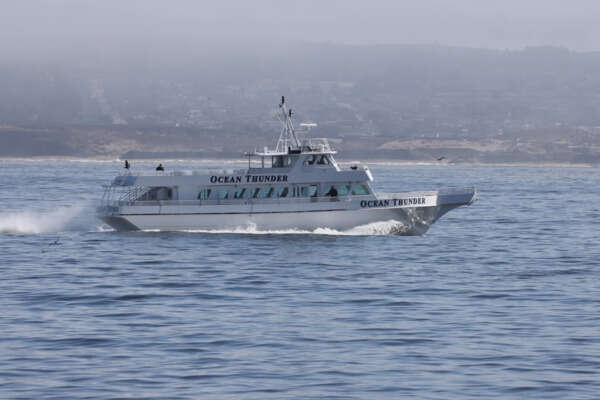 Picture Of: 1986 Gulf Craft Passenger Ocean Thunder