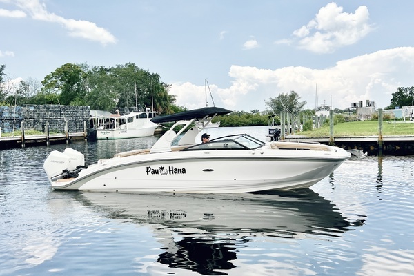 Picture Of: 2019 Sea Ray SDX 290 OB 