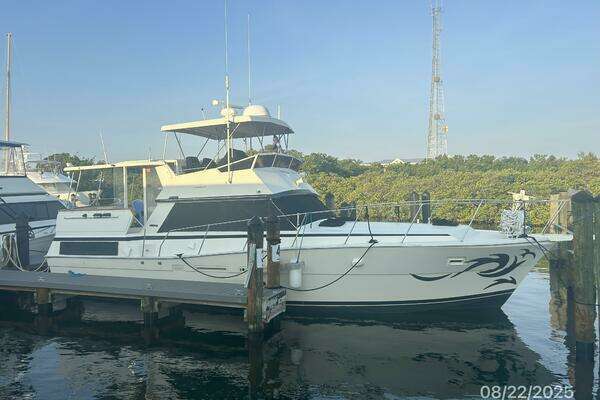 Picture Of: 1984 Viking 44 No Regrets