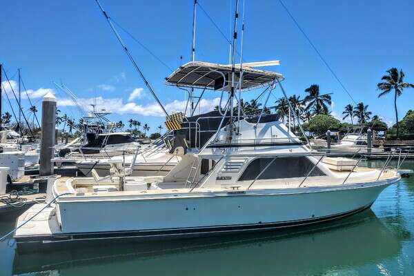 Picture Of: 1992 Blackfin Flybridge LOKAHI