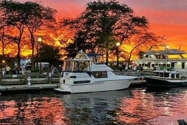 Picture Of: 1994 Carver Aft Cabin Motor Yacht SEA DELIVERY