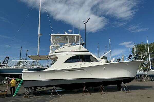 Picture Of: 1991 Jersey Dawn Jersey Girl