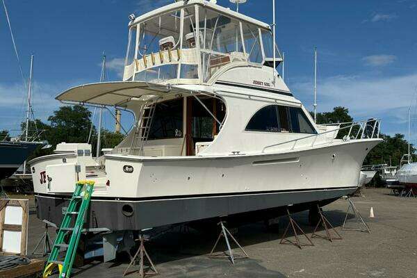 Picture Of: 1991 Jersey Dawn Jersey Girl