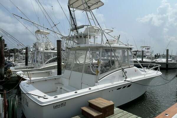 Picture Of: 1993 Luhrs Tournament 290 Open Sea Ya