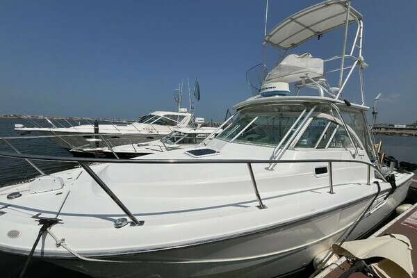 Picture Of: 2001 Rampage Rampage 30 Express Open Lucky Dog