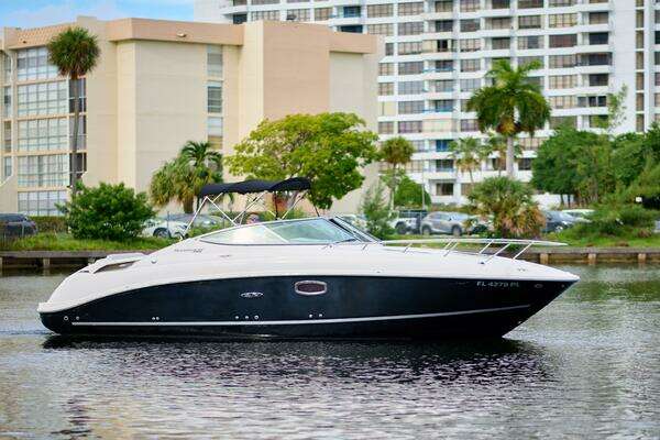 Picture Of: 2011 Sea Ray 260 Sundancer Welcome to the Jungle