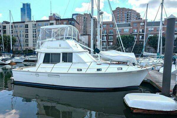 Picture Of: 1988 Cape Dory 36 Flybridge Sedan Fast Trawler Vintage