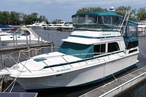 Picture Of: 1987 Chris-Craft 362 Catalina 