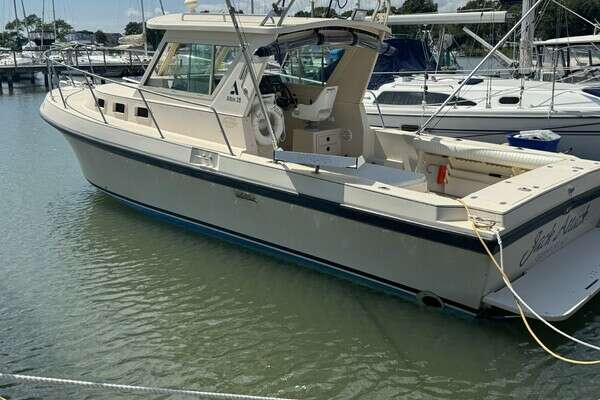 Picture Of: 2003 Albin Tournament Jack Attack