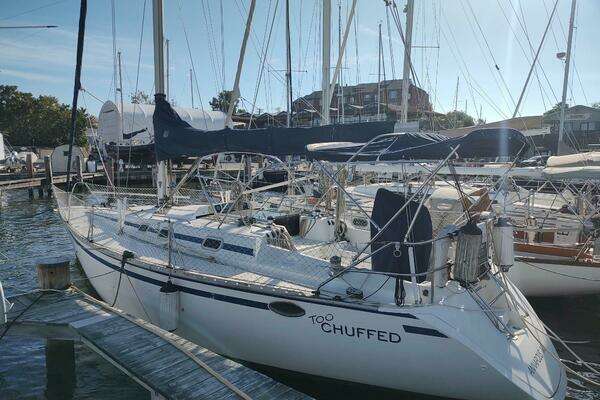 Picture Of: 1987 Hunter 37 Legend TOO CHUFFED