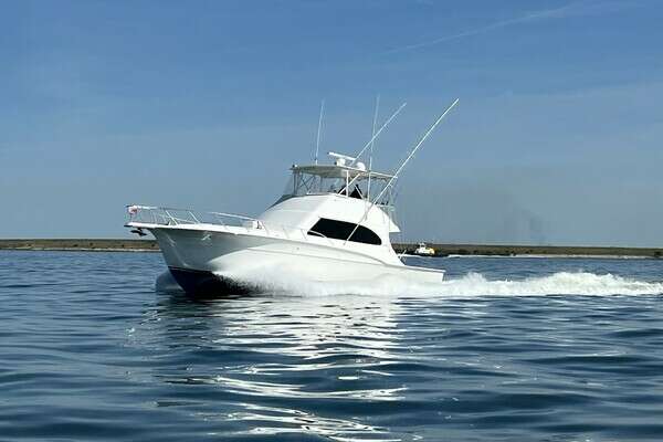 Picture Of: 2002 Cavileer 48 Flybridge Sportfisherman HAMMERTIME