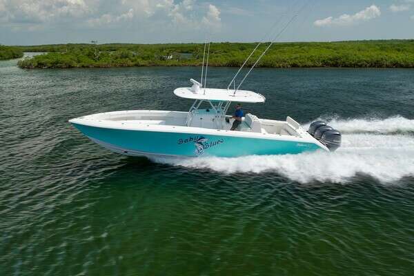 Picture Of: 2013 Bahama  Baby Blues