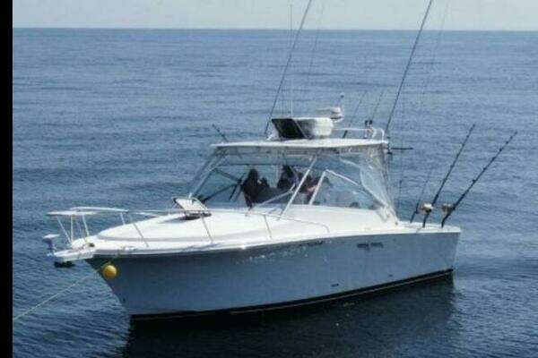 Picture Of: 2011 Luhrs 30 Open 