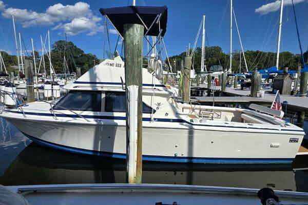 Picture Of: 1983 Bertram 28 Flybridge SoulShine
