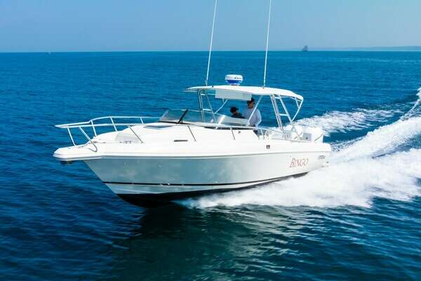 Picture Of: 1995 Intrepid  