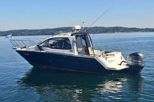 Picture Of: 2017 Cutwater C-24 BULLDAWG