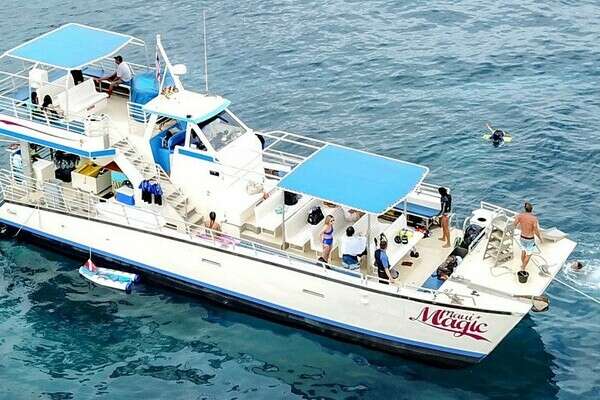 Picture Of: 2003 Aluminum Cruiser COMMERCIAL PASSENGER VESSEL MAUI MAGIC