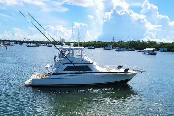 Picture Of: 1989 Bertram 50 Convertible Trophy Hunter