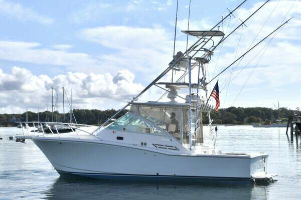 Picture Of: 2000 Cabo 31 Express Legacy