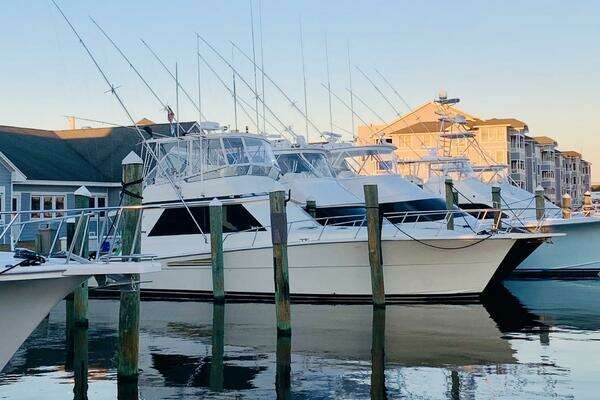 Picture Of: 1989 Viking  Marcie Clare