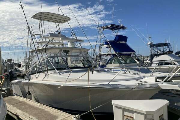 Picture Of: 2006 Luhrs 280 Express Open 