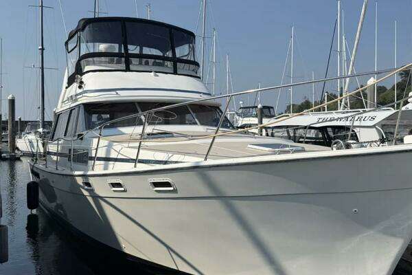 Picture Of: 1983 Bayliner 3870 Motoryacht 