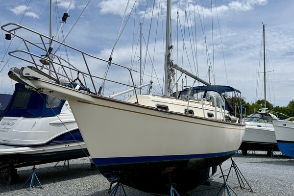 Picture Of: 1992 Island Packet IP-29 Willin'