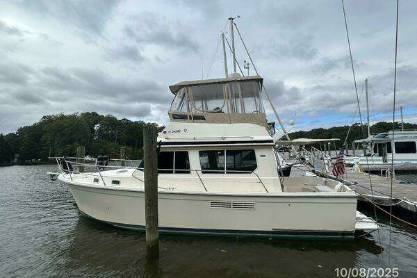 Picture Of: 1994 Sabreline Sedan Flybridge Danu