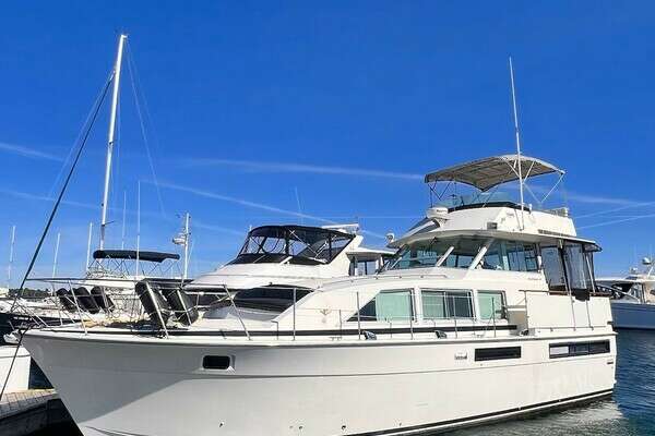 Picture Of: 1977 Bertram 42 Motor Yacht Here's To You