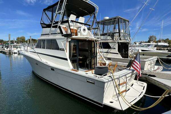 Picture Of: 1979 Viking 35 Convertible 